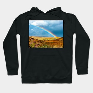 An Irish Rainbow Hoodie